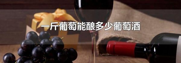 一斤葡萄能酿多少葡萄酒