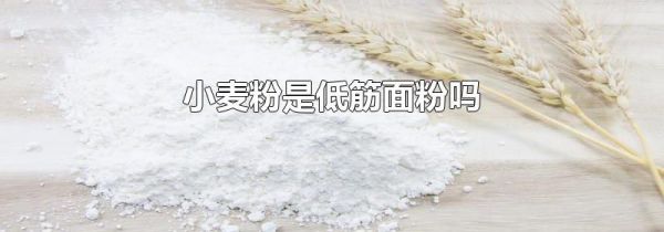 小麦粉是低筋面粉吗