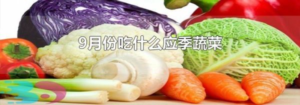 9月份吃什么应季蔬菜