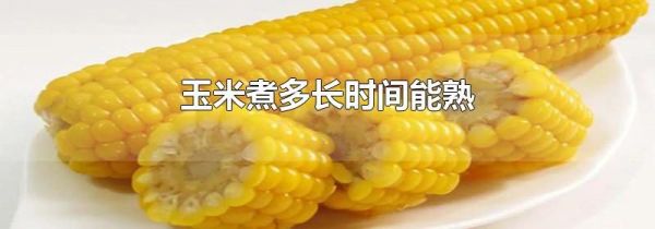 玉米煮多长时间能熟