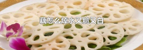 藕怎么焯水又脆又白