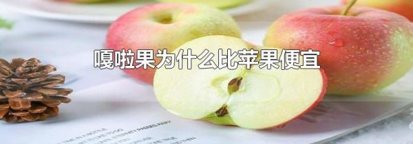 嘎啦果为什么比苹果便宜