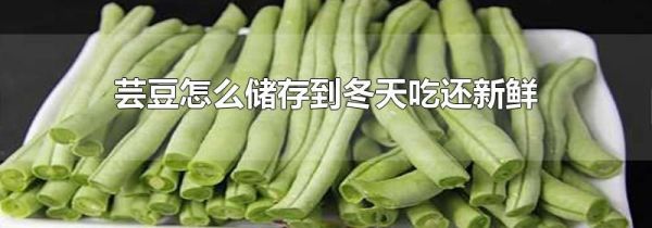 芸豆怎么储存到冬天吃还新鲜