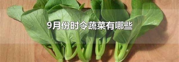 9月份时令蔬菜有哪些