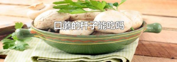 口蘑的杆子能吃吗