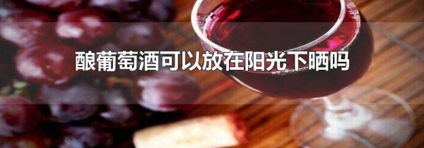 酿葡萄酒可以放在阳光下晒吗