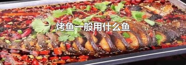 烤鱼一般用什么鱼