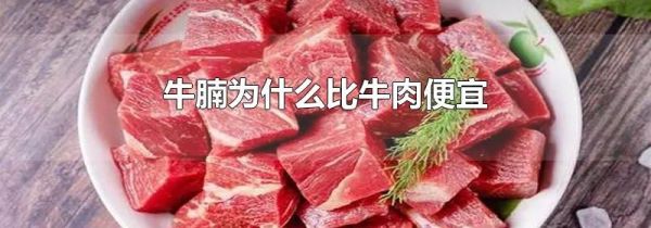 牛腩为什么比牛肉便宜