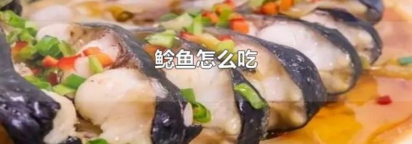 鲶鱼怎么吃