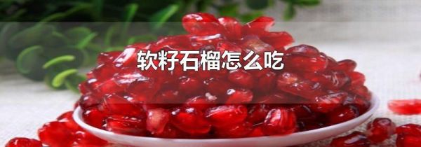 软籽石榴怎么吃