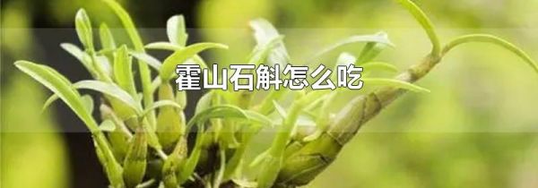 霍山石斛怎么吃