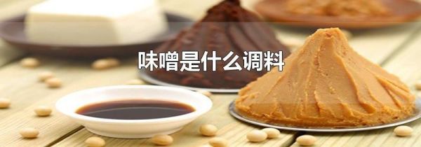 味噌是什么调料