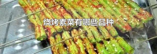 烧烤素菜有哪些品种