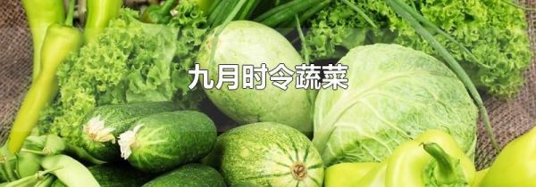 九月时令蔬菜