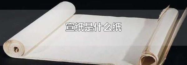 宣纸是什么纸