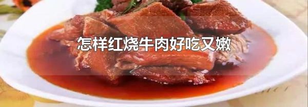 怎样红烧牛肉好吃又嫩