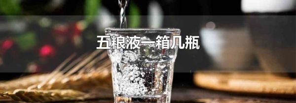 五粮液一箱几瓶