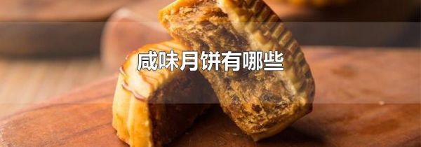 咸味月饼有哪些