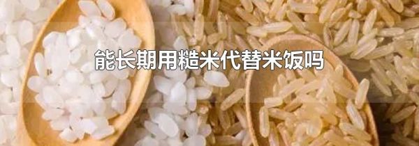 能长期用糙米代替米饭吗