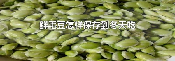 鲜毛豆怎样保存到冬天吃