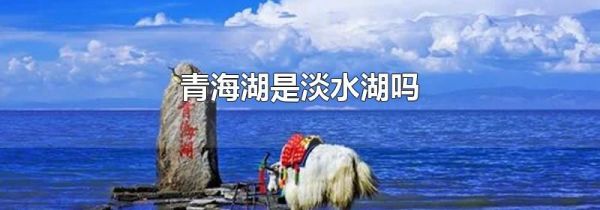 青海湖是淡水湖吗