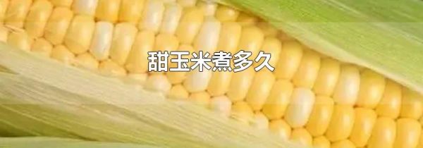 甜玉米煮多久