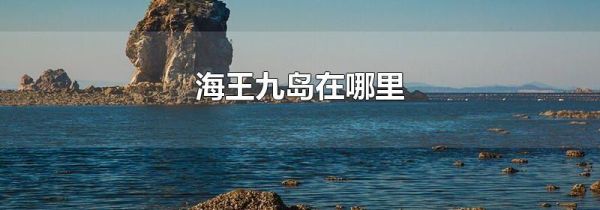 海王九岛在哪里