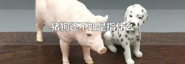 猪狗还不如是指什么