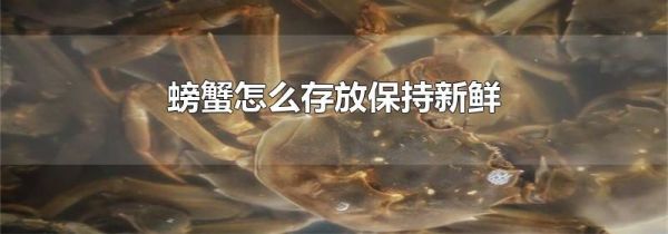 螃蟹怎么存放保持新鲜