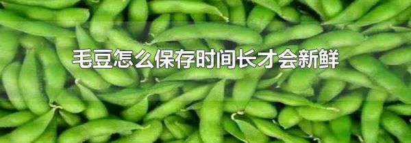 毛豆怎么保存时间长才会新鲜