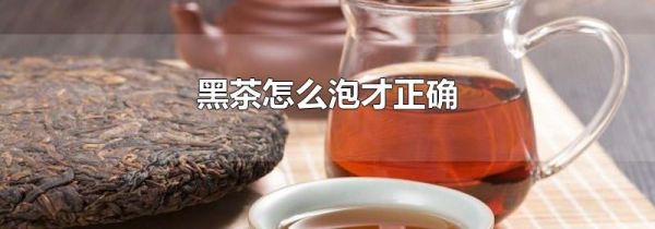 黑茶怎么泡才正确