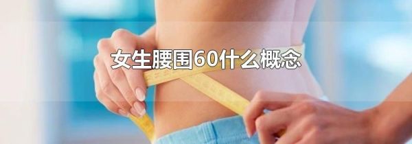 女生腰围60什么概念