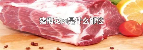 猪梅花肉是什么部位