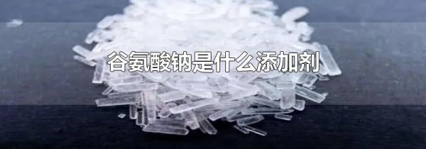 谷氨酸钠是什么添加剂