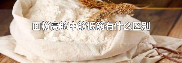 面粉高筋中筋低筋有什么区别