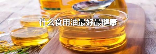 什么食用油最好最健康