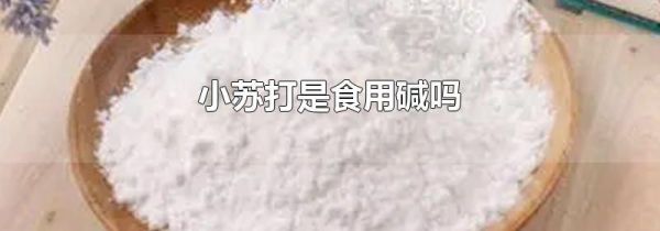 小苏打是食用碱吗