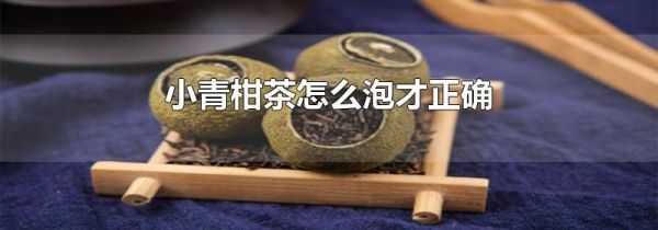 小青柑茶怎么泡才正确