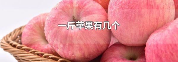 一斤苹果有几个