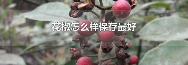 花椒怎么样保存最好