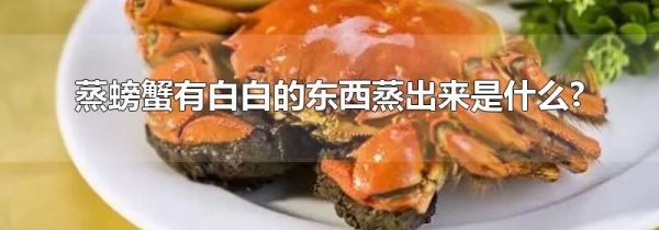 蒸螃蟹有白白的东西蒸出来是什么?