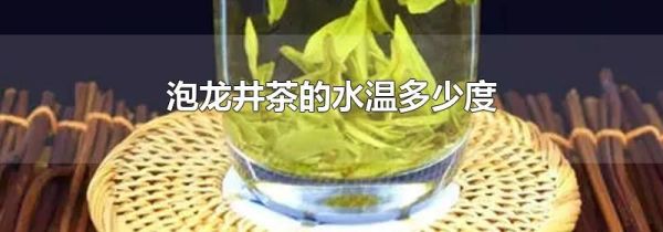 泡龙井茶的水温多少度