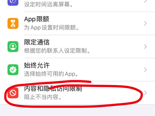 iphone访问限制在哪