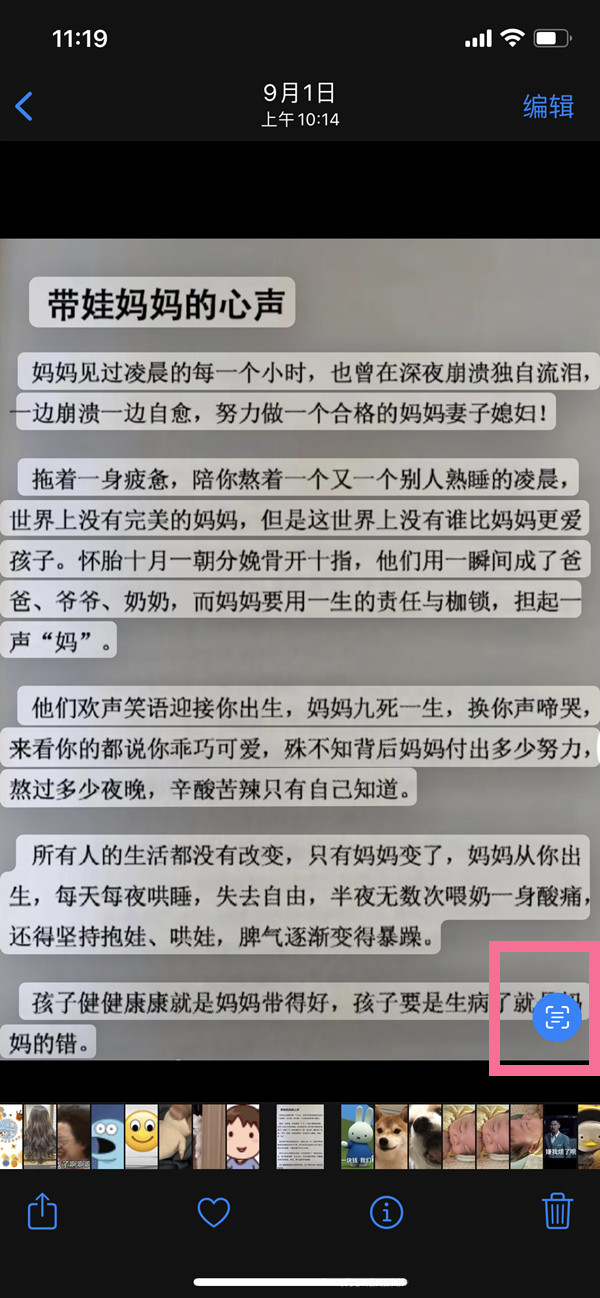 苹果手机怎么翻译图片中的文字