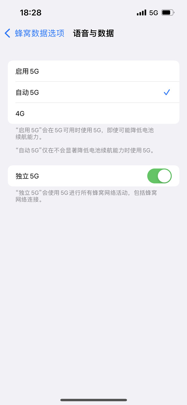 苹果13的5g设置在哪里