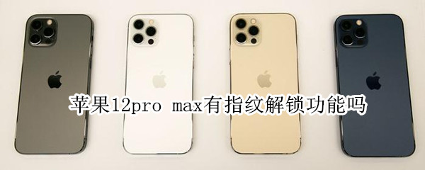 苹果12pro max有指纹解锁功能吗