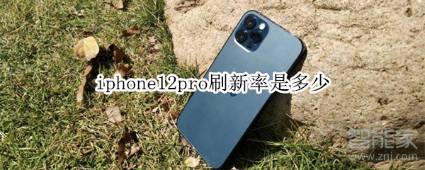 iphone12pro刷新率是多少