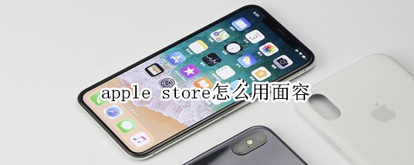 apple store怎么用面容