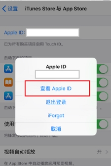 苹果手机appstop怎么设置中文