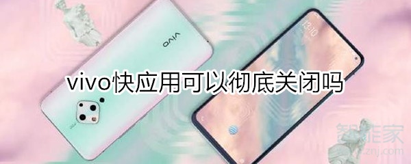 vivo快应用彻底关闭